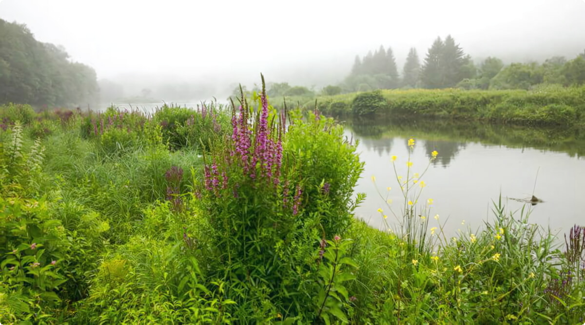 Las mejores ofertas de alquiler de coches en Hancock